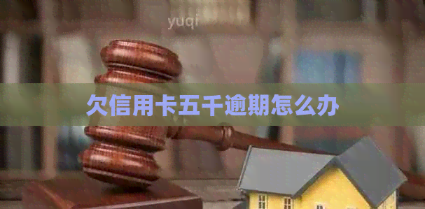欠信用卡五千逾期怎么办