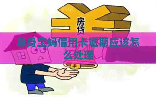 单身宝妈信用卡逾期应该怎么处理