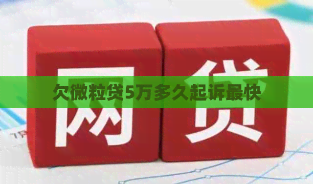 欠微粒贷5万多久起诉最快