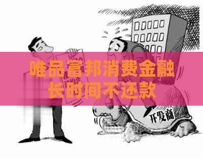 唯品富邦消费金融长时间不还款