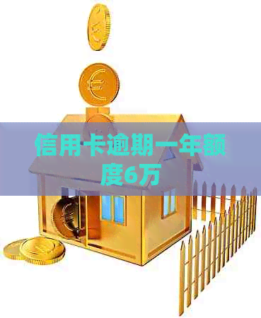 信用卡逾期一年额度6万