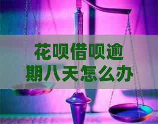 白条信用卡逾期八天怎么办处理方式