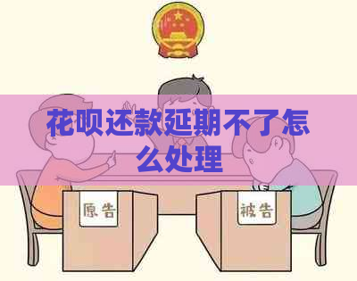 白条还款延期不了怎么处理