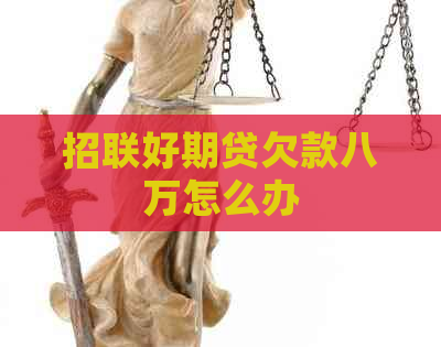 招联好期贷欠款八万怎么办