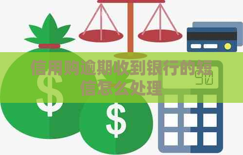 信用购逾期收到银行的短信怎么处理