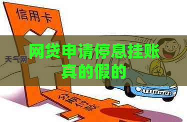 网贷申请停息挂账真的假的