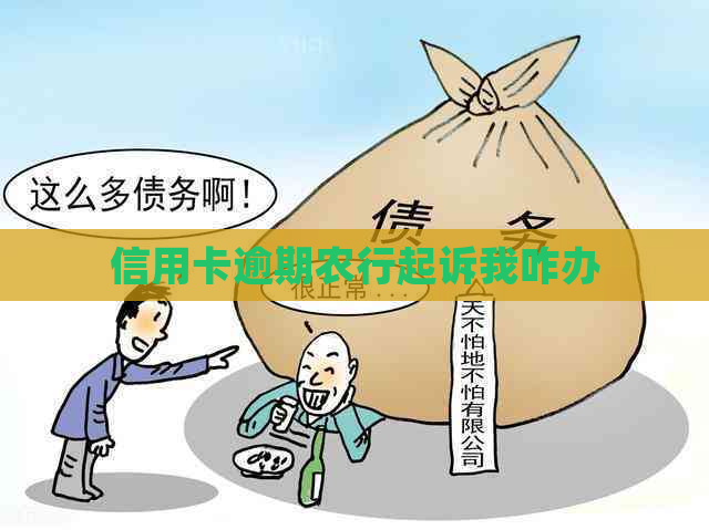 信用卡逾期农行起诉我咋办