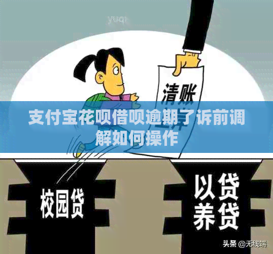 信用卡白条信用卡逾期了诉前调解如何操作