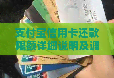 支付宝信用卡还款限额详细说明及调整方法，帮助您更好地管理信用卡账单