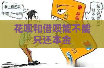 白条和信用卡能不能只还本金