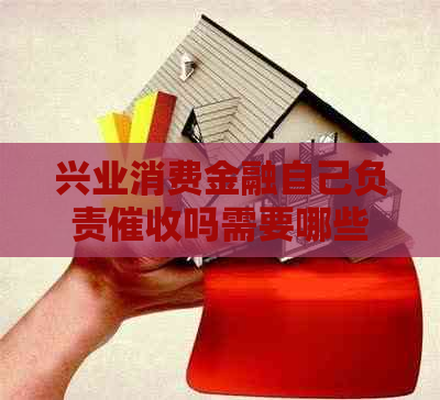 兴业消费金融自己负责吗需要哪些措施