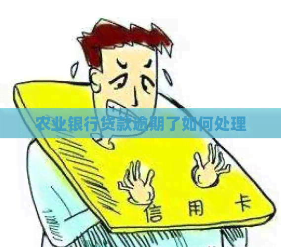 农业银行贷款逾期了如何处理 农业银行贷款逾期了如何处理