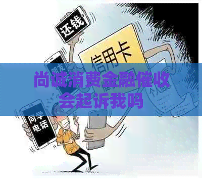 尚诚消费金融会起诉我吗