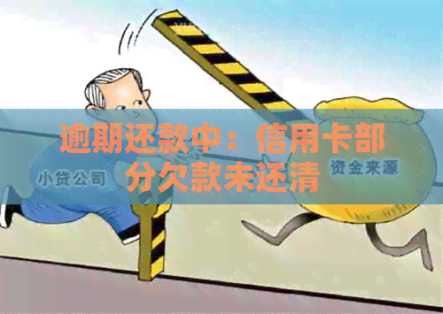逾期还款中：信用卡部分欠款未还清