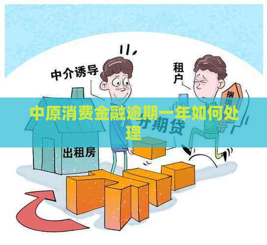 中原消费金融逾期一年如何处理
