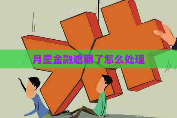 月星金融逾期了怎么处理 月星金融逾期了怎么处理