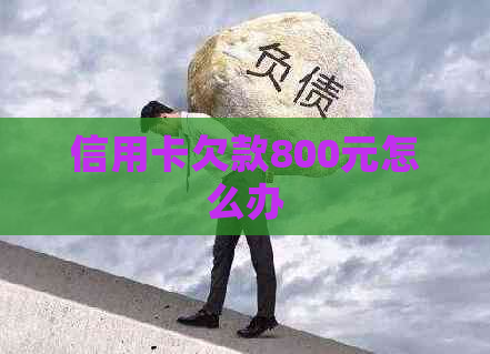 信用卡欠款800元怎么办