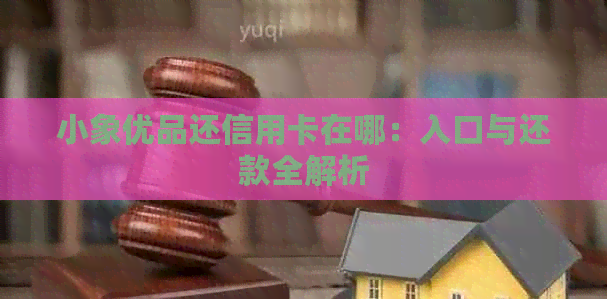 小象优品还信用卡在哪：入口与还款全解析