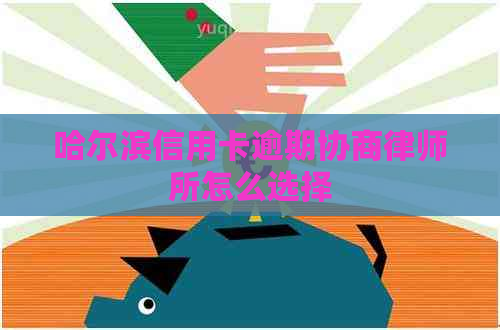 哈尔滨信用卡逾期协商律师所怎么选择