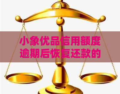 小象优品信用额度逾期后恢复还款的全流程分析