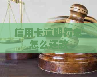 信用卡逾期罚息怎么还款