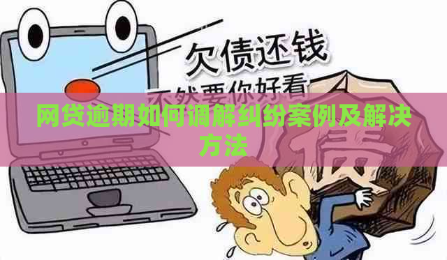 网贷逾期如何调解纠纷案例及解决方法