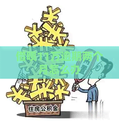 信用卡11万逾期两个月怎么办