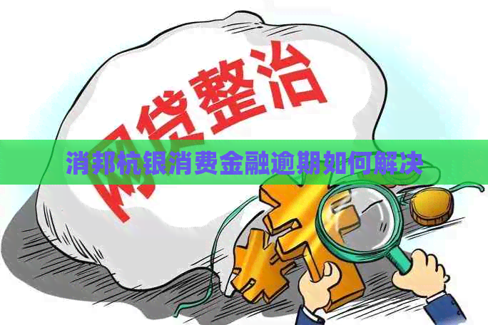 消邦杭银消费金融逾期如何解决