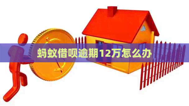 蚂蚁信用卡逾期12万怎么办