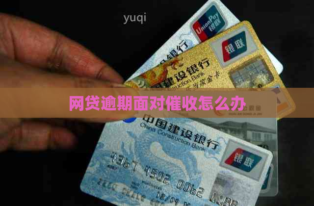 网贷逾期面对怎么办