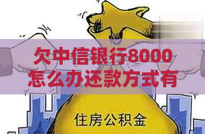 欠中信银行8000怎么办还款方式有哪些