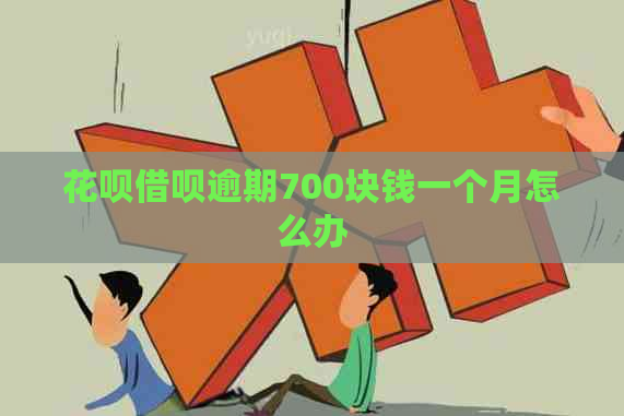 白条信用卡逾期700块钱一个月怎么办