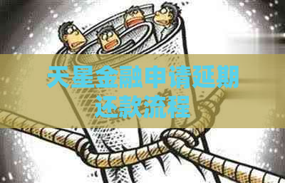 天星金融申请延期还款流程