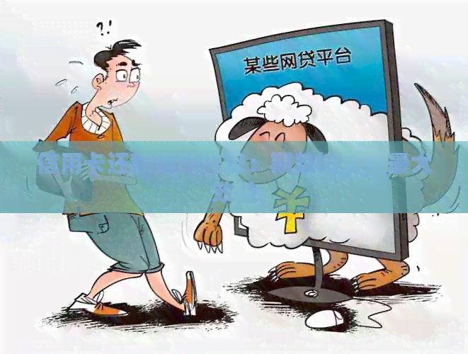 信用卡还款周期选择：期数以实现更大效益