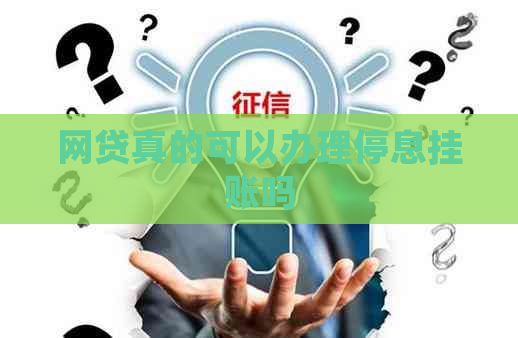 网贷真的可以办理停息挂账吗