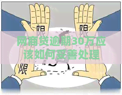 白条贷逾期30万应该如何妥善处理