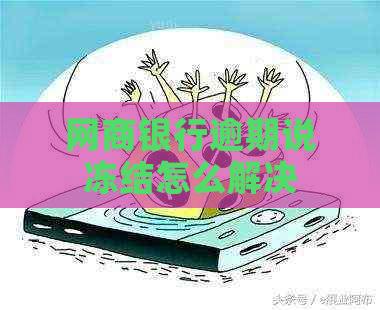 网商银行逾期说冻结怎么解决