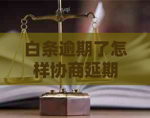 白条逾期了怎样协商延期还款方式