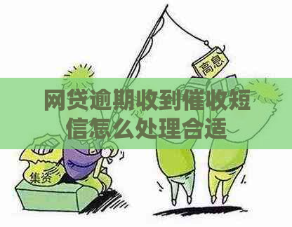 网贷逾期收到短信怎么处理合适