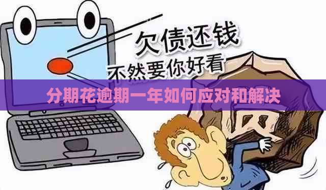 分期花逾期一年如何应对和解决