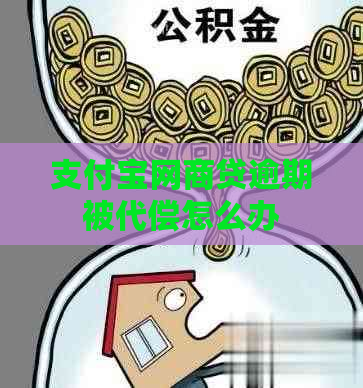 支付宝网商贷逾期被代偿怎么办