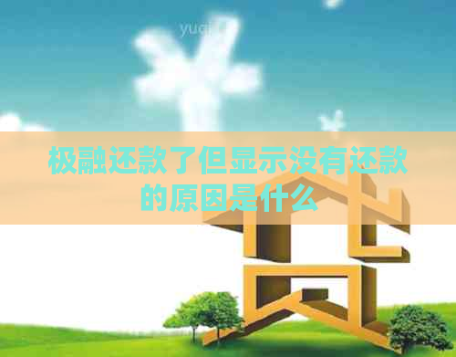 极融还款了但显示没有还款的原因是什么
