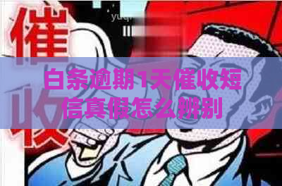 白条逾期1天短信真假怎么辨别