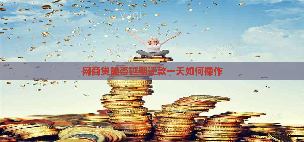 网商贷能否延期还款一天如何操作
