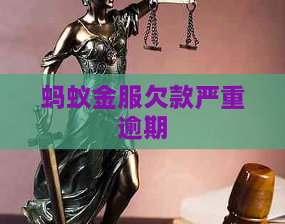 蚂蚁金服欠款严重逾期