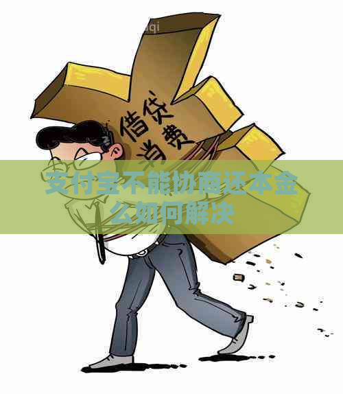 支付宝不能协商还本金么如何解决
