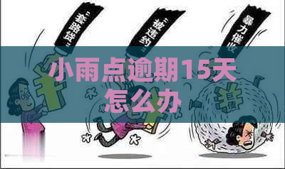 小雨点逾期15天怎么办