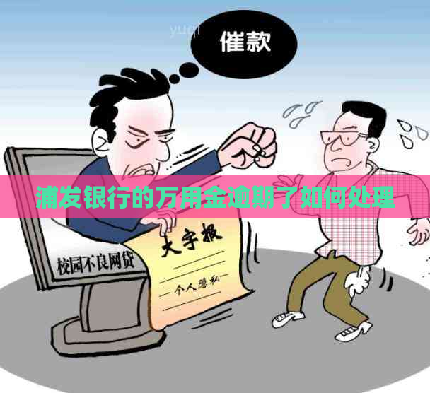 浦发银行的万用金逾期了如何处理