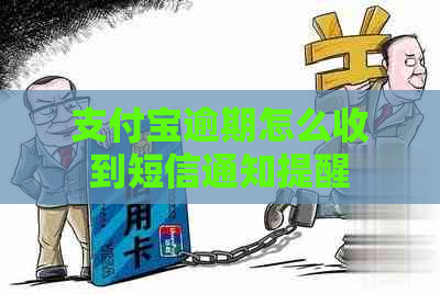 支付宝逾期怎么收到短信通知提醒
