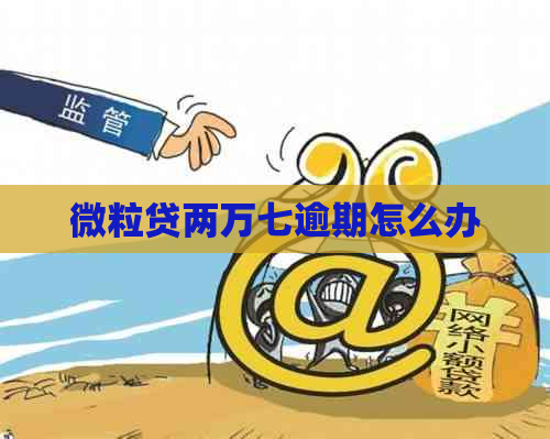 微粒贷两万七逾期怎么办
